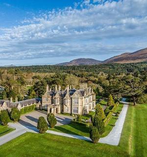 一栋有树木的大房子的鸟瞰图