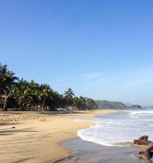 písečná pláž s palmami a oceánem