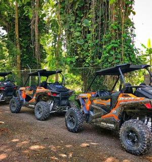 three four wheelers parked in a row on a trail