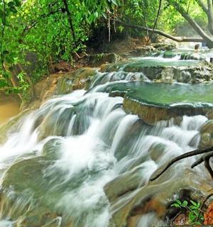 树木繁茂的河流上的一组急流