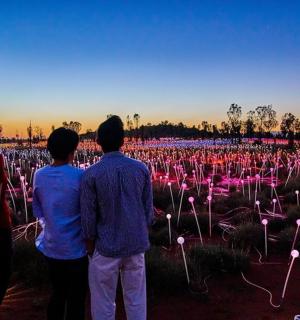 skupina lidí stojících na poli s růžovými světly