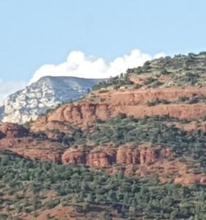 山顶有树木的岩石山