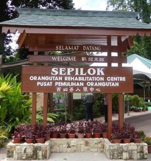 公园里有鲜花和植物的标志