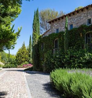 一座侧面爬满常春藤的石头房子