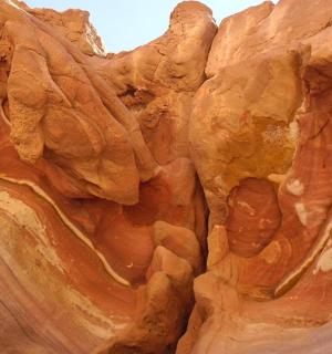 a close up of a brown rock wall