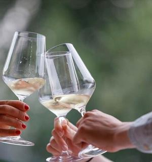 两个人举着白葡萄酒杯