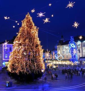 vánoční stromeček uprostřed města v noci