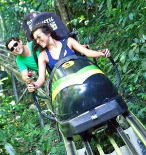 两个人在丛林中乘坐过山车