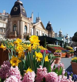 květinová výzdoba před budovou