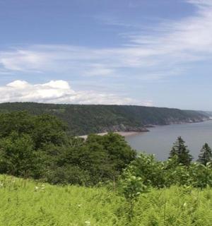 一大片水景和树木