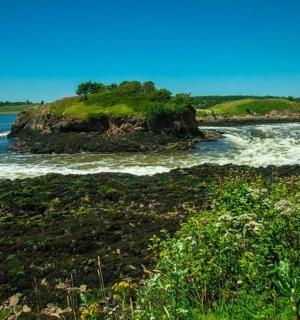 中间有一块岩石的水体