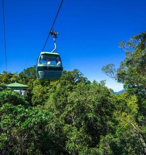 a gondola ride in the sky over trees