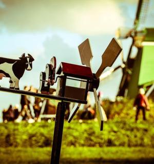 一台摄像机，上面有一头牛在田野上