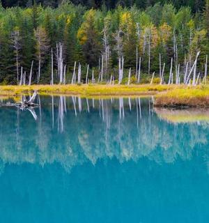 a body of blue water with trees in the background