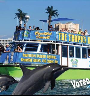 a tour boat with two dolphins in the water