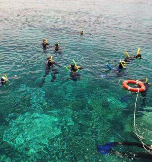 skupina lidí plavajících ve vodě