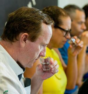 a group of people drinking from wine glasses