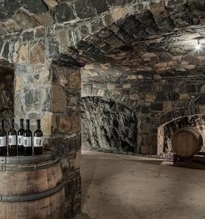 一个酒窖，里面堆满了酒瓶