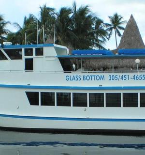 水中的小船，背景是棕榈树