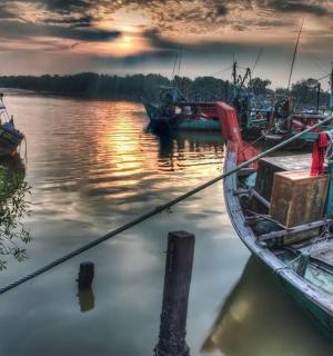 一组停靠在水中码头的船只