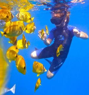 a person swimming in the water with a school of fish