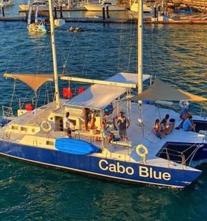 a blue and white boat in the water