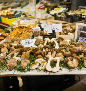 a display of mushrooms on a table in a market