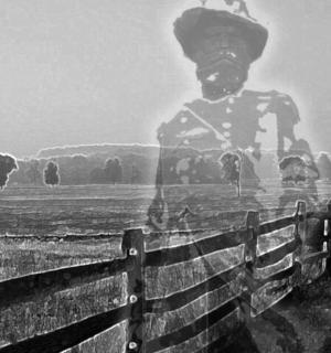 a statue of a soldier standing behind a fence