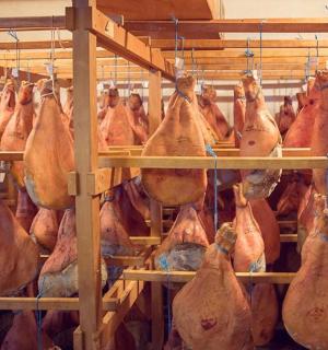 ve stodole visí hromada kuřat