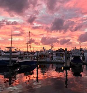 a group of boats docked in a marina at sunset
