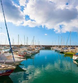 a bunch of boats are docked in a harbor
