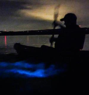 a person in a boat on the water at night