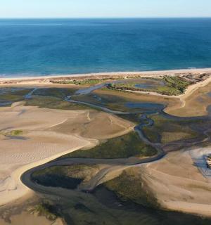 海洋和海滩的鸟瞰图