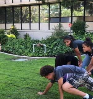 一群小男孩在草地上玩耍