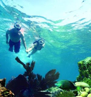 two people swimming in the water near the reefs
