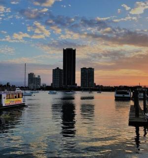 a group of boats docked in a harbor with a city