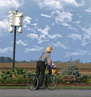 a man riding a bike down the street