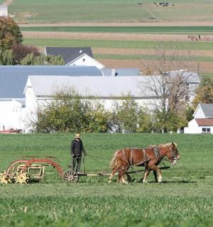 muž orá pole s koněm táhnoucím pluh