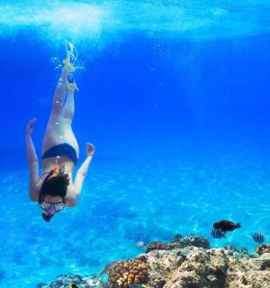 一名女子正在珊瑚礁附近的水中游泳