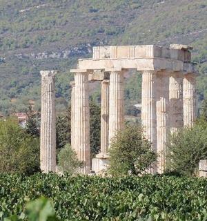 田野中央有柱子的古建筑