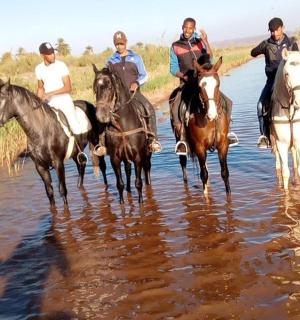 a group of people riding horses in the water