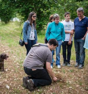 skupina lidí pozorujících psa na poli