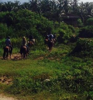 група људи који јашу коње на пољу