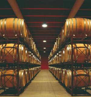 酒窖里的一排酒桶