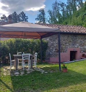 a table and chairs under an umbrella in a yard