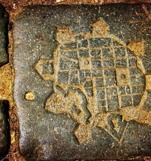 岩石上的乌龟马赛克