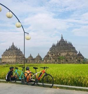 a group of bikes parked next to a field