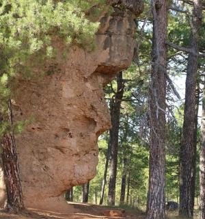 a large rock formation in the middle of a forest