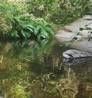 a river with a rock in the middle of it