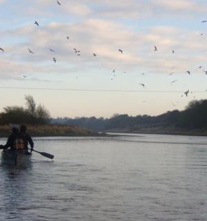 两个人在河上的船上，有鸟儿